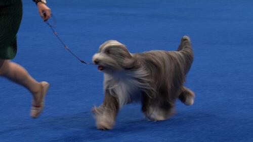 自主研发,不断创新